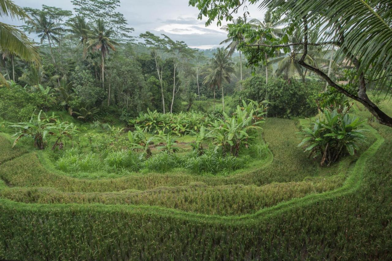 Masakali Retreat Hotel Ubud  Exterior photo